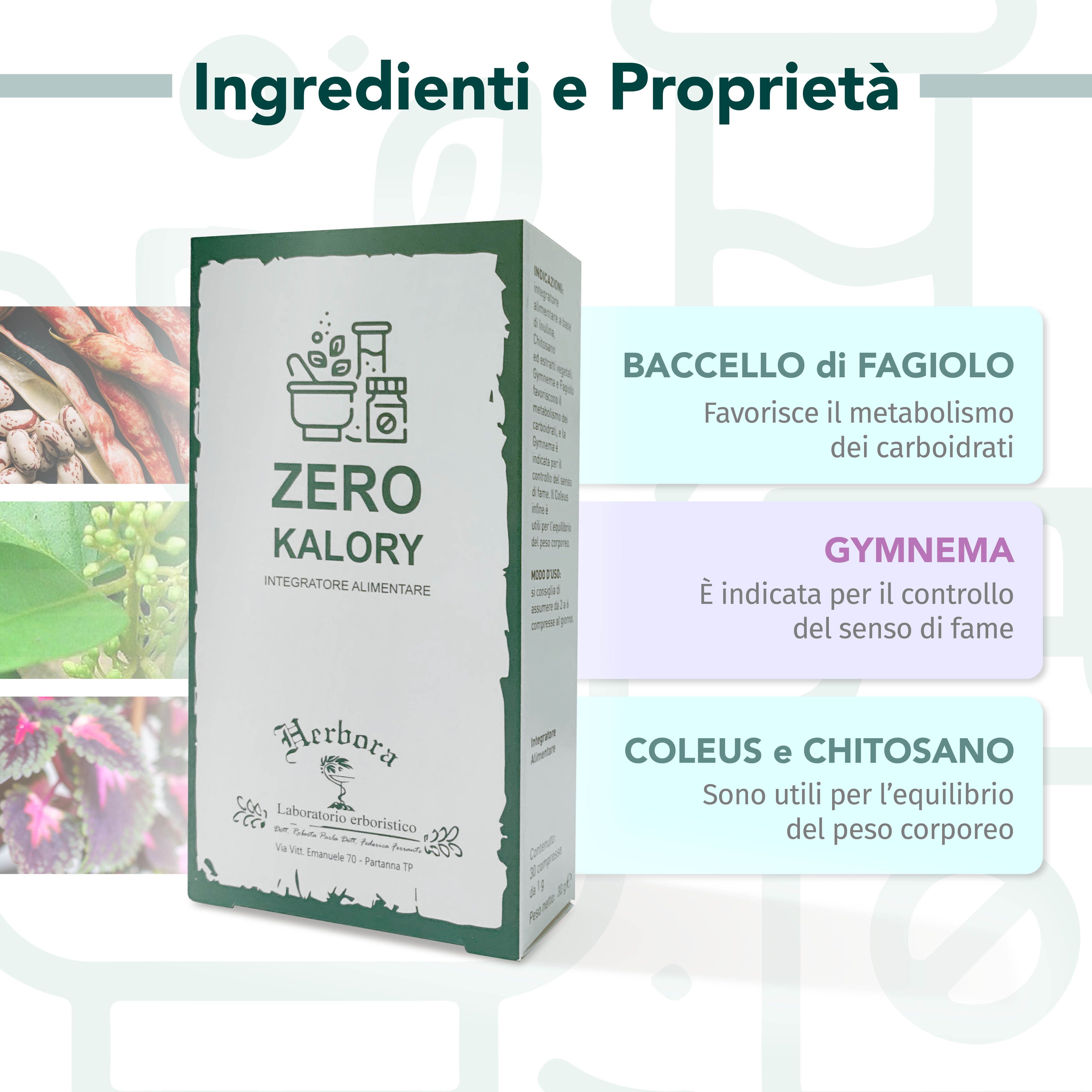 Infografica ingredienti Zerokalory